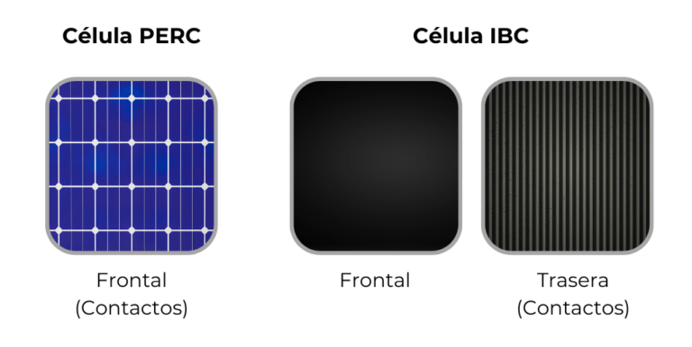 célula IBC vs Célula Perc